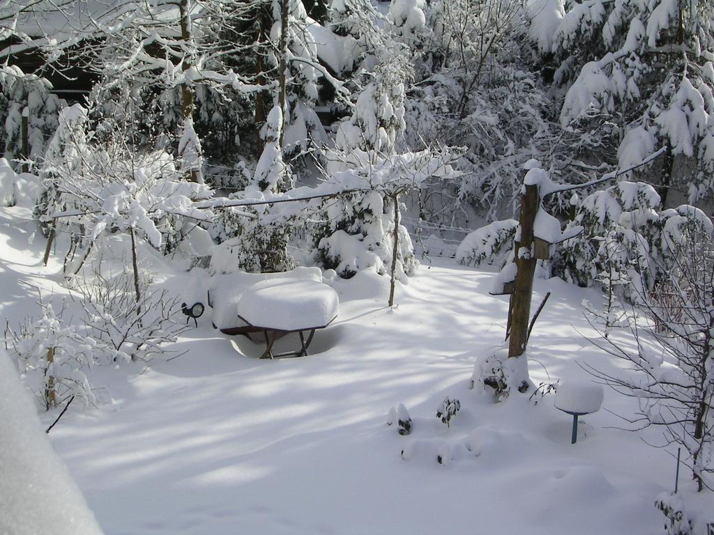 Ferienwohnung Im Harz-Haus-Bruns Clausthal-Zellerfeld Esterno foto