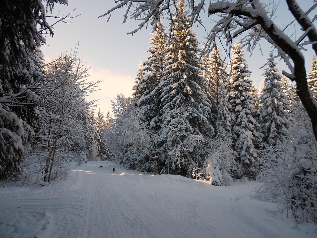 Ferienwohnung Im Harz-Haus-Bruns Clausthal-Zellerfeld Esterno foto