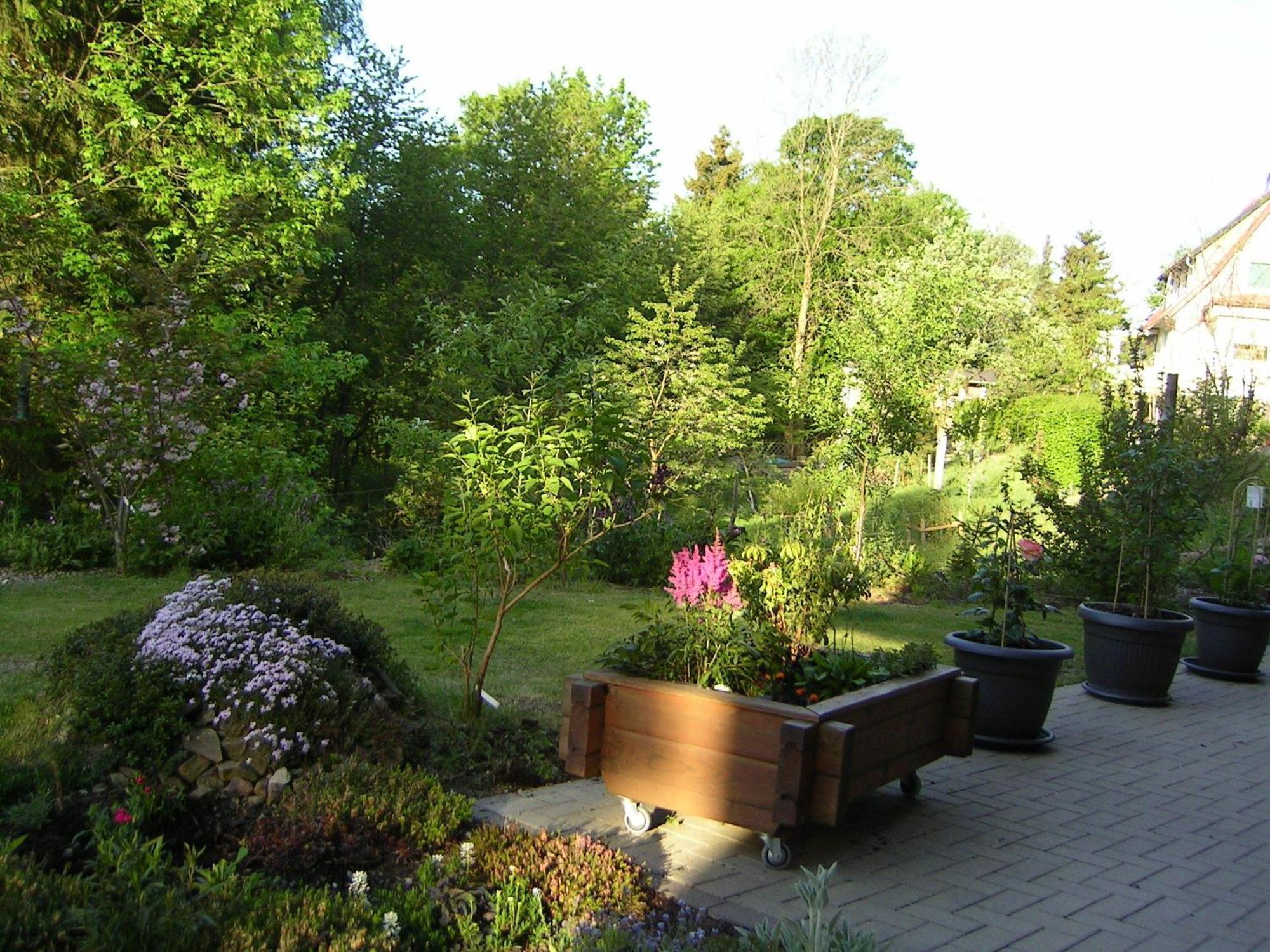 Ferienwohnung Im Harz-Haus-Bruns Clausthal-Zellerfeld Esterno foto