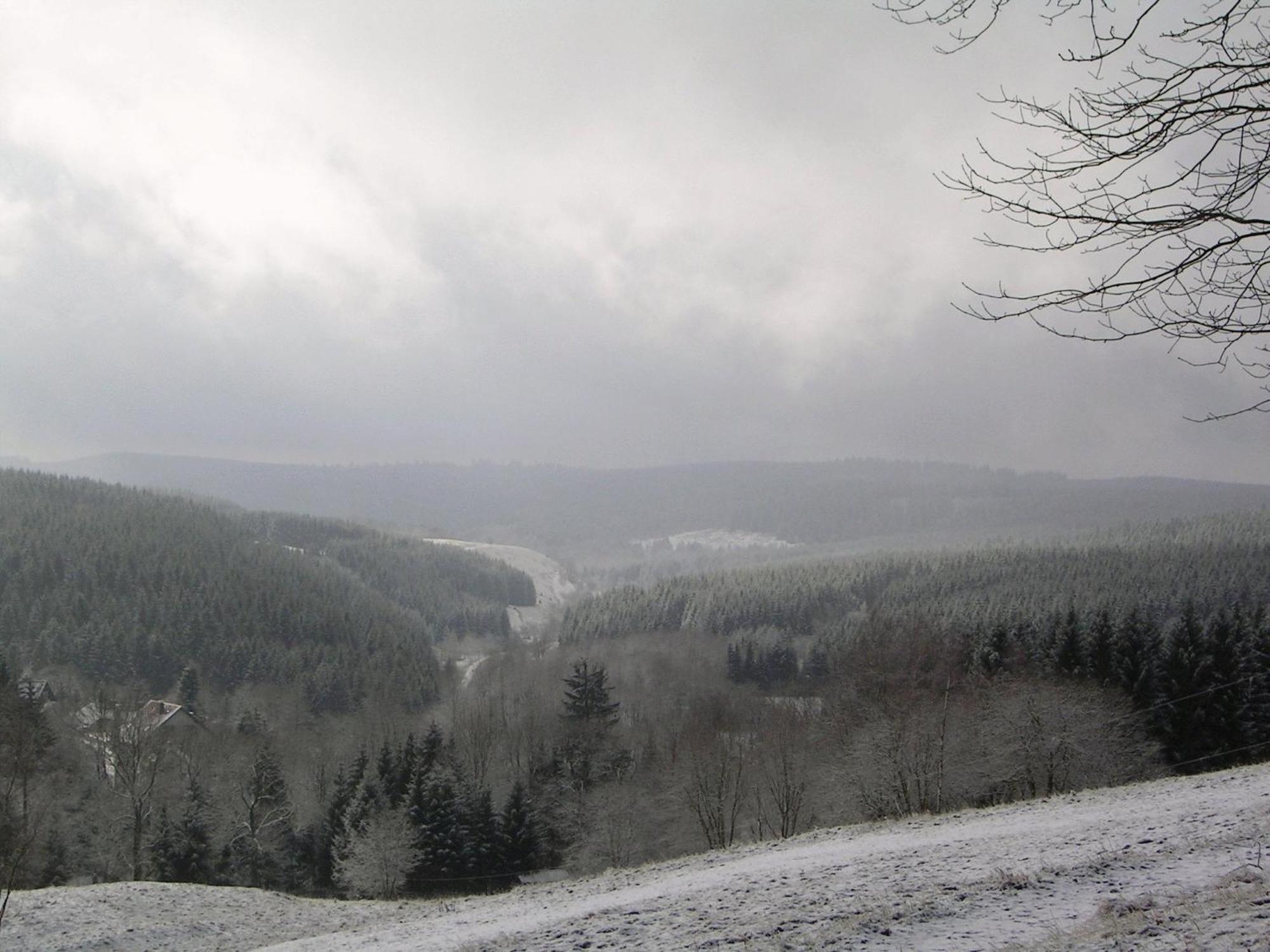 Ferienwohnung Im Harz-Haus-Bruns Clausthal-Zellerfeld Esterno foto