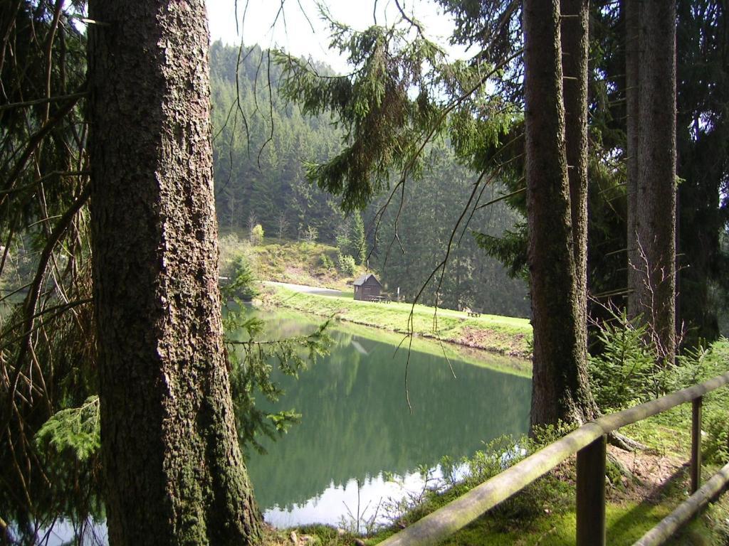 Ferienwohnung Im Harz-Haus-Bruns Clausthal-Zellerfeld Esterno foto