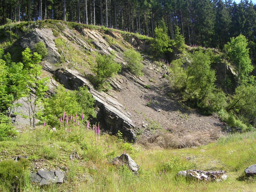 Ferienwohnung Im Harz-Haus-Bruns Clausthal-Zellerfeld Esterno foto